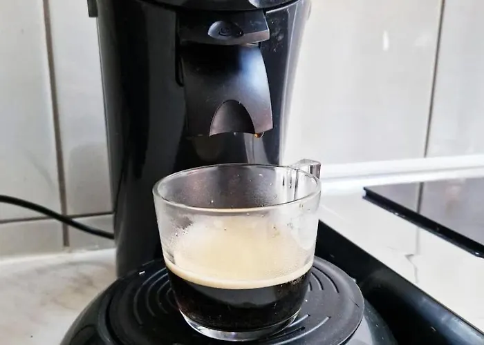 Appartement Spacieux 4 Pièces Centre De